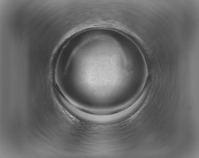 X0000074021506200609061102