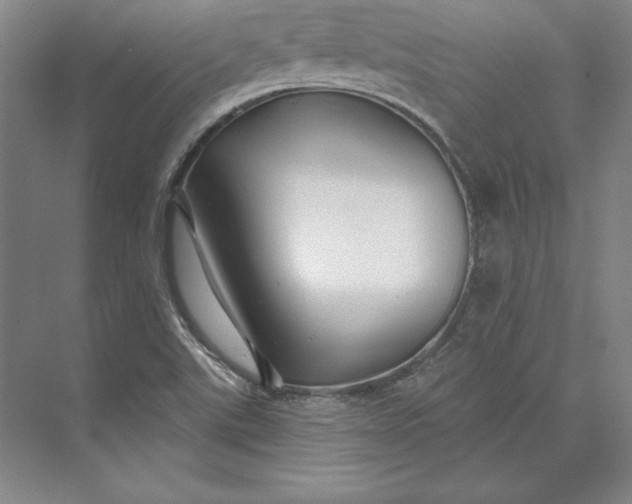X0000074021507200609061102