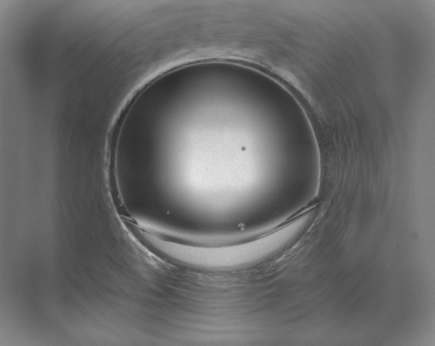 X0000074021508200609061102