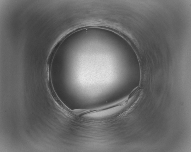 X0000074021509200609061102