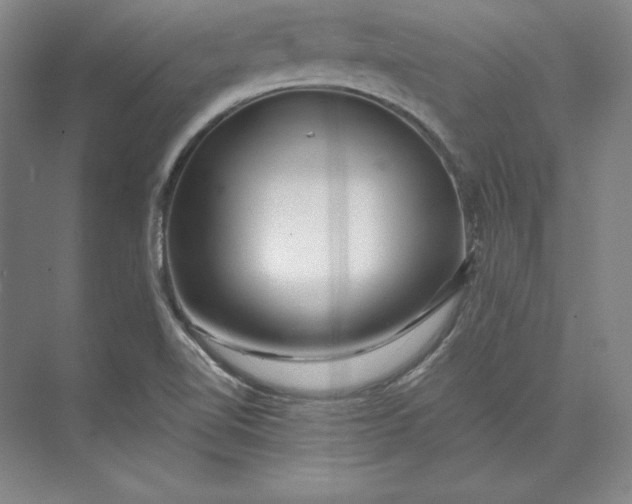 X0000074021510200609061102