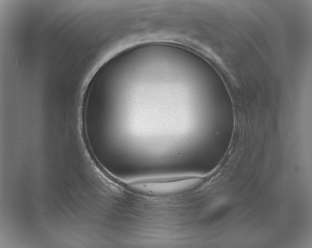 X0000074021512200609061102
