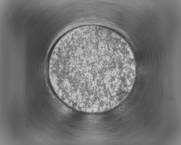 X0000074021514200609061102