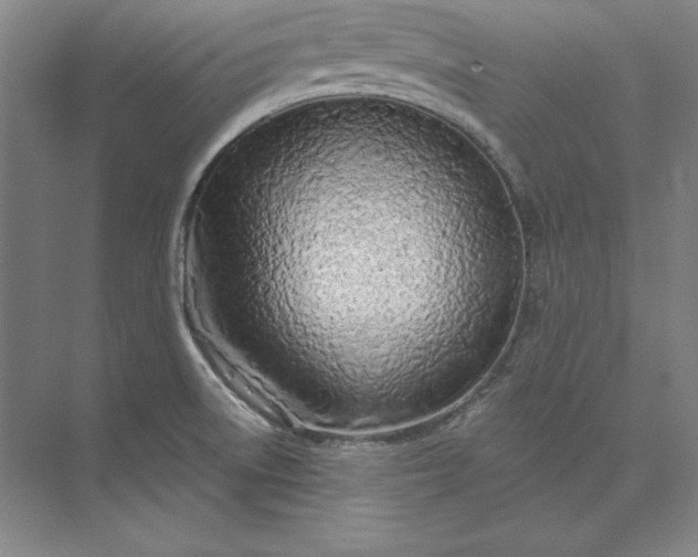 X0000074021522200609061102