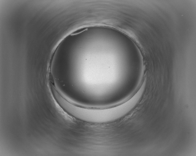 X0000074021524200609061102