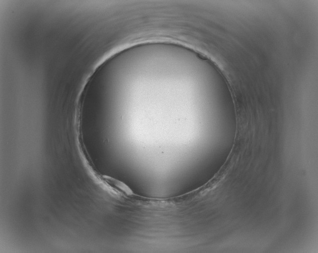 X0000074021526200609061102