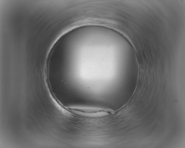 X0000074021531200609061102