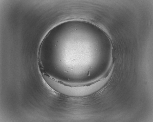X0000074021532200609061102