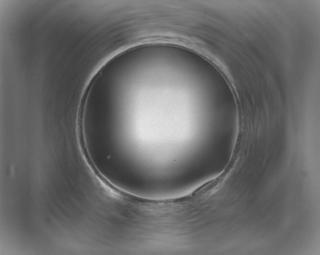 X0000074021533200609061102