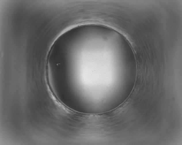 X0000074021534200609061102