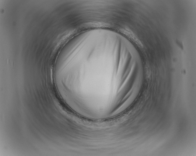 X0000074020014200609111700