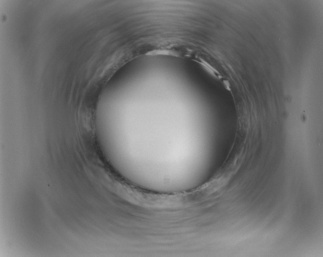 X0000074020044200609111659