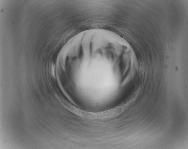 X0000074020046200609111659