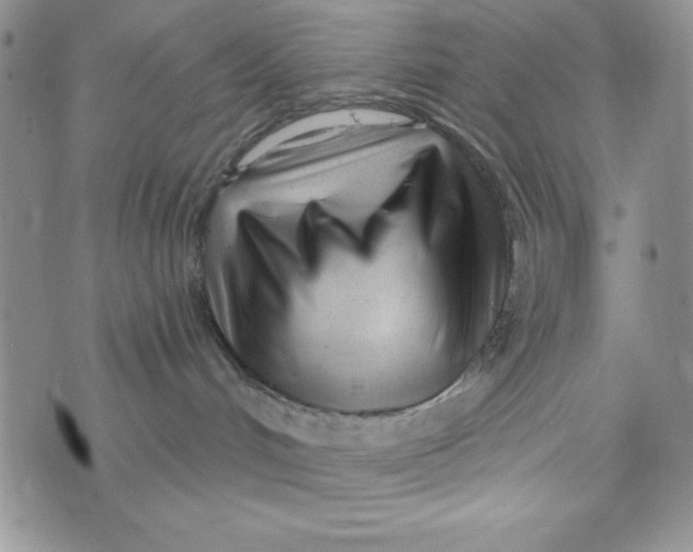 X0000074020048200609111659