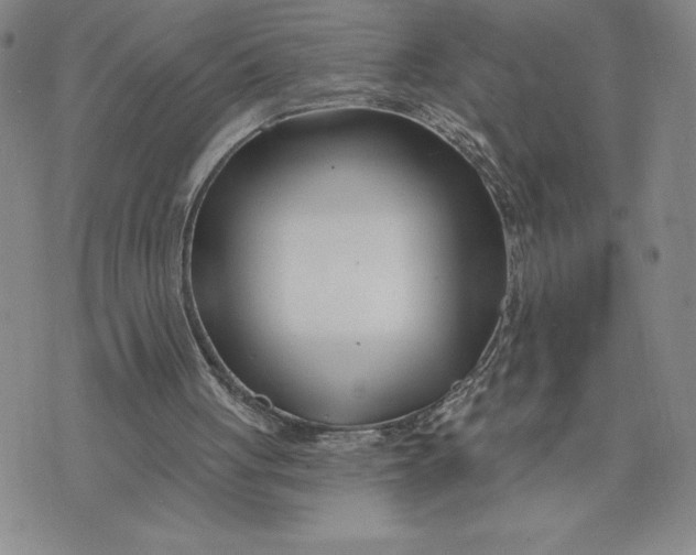 X0000074020051200609111659