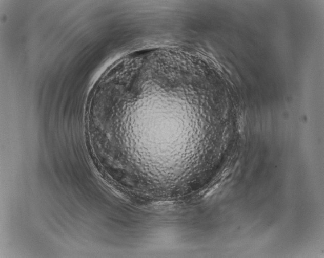X0000074020052200609111659