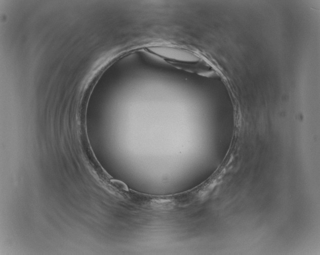 X0000074020055200609111659