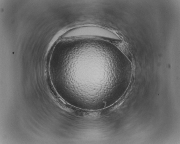 X0000074020056200609111659