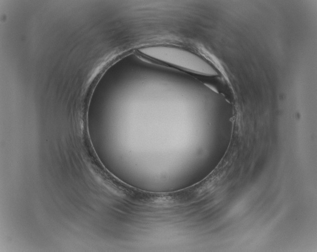 X0000074020059200609111659
