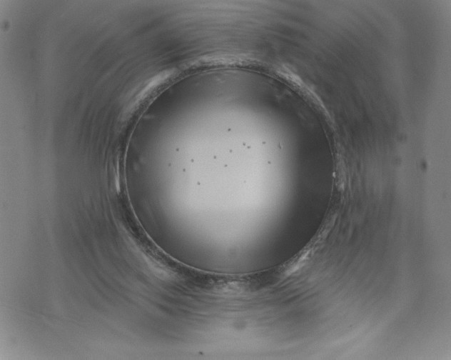 X0000074020062200609111659