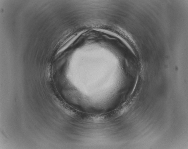 X0000074020065200609111659