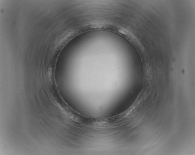X0000074020066200609111659