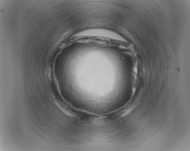 X0000074020072200609111659