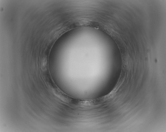 X0000074020082200609111659