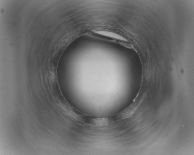 X0000074020085200609111659