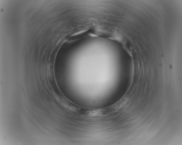 X0000074020088200609111659
