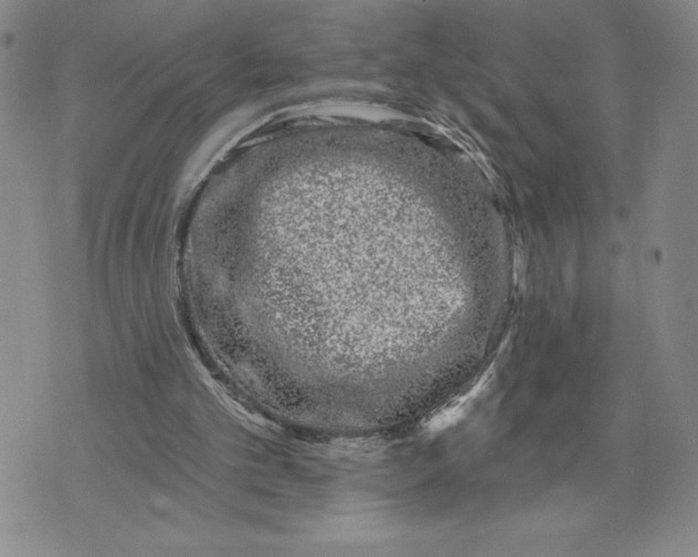 X0000074020101200609111659