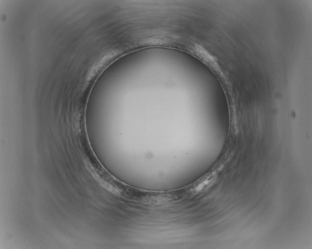 X0000074020106200609111658