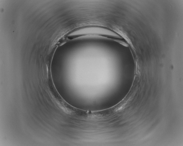 X0000074020109200609111658