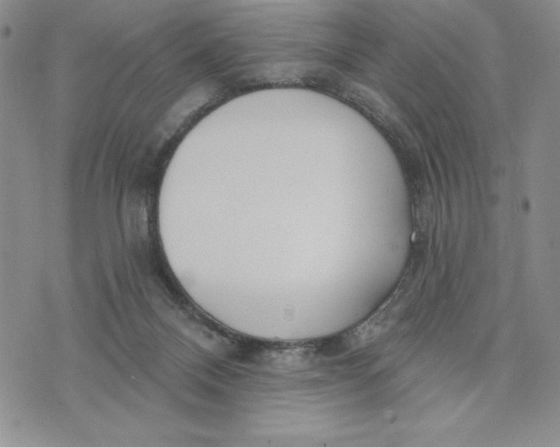 X0000074020120200609111658