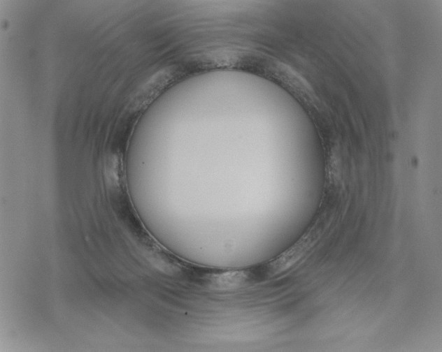 X0000074020122200609111658