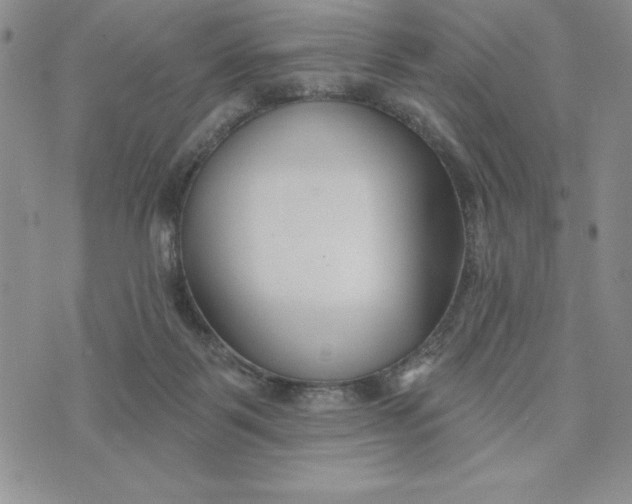 X0000074020123200609111658