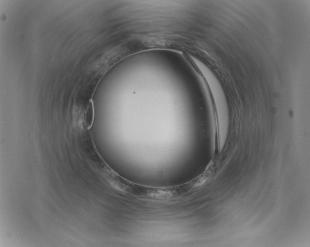 X0000074020125200609111658