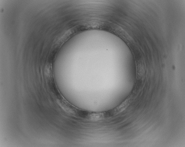 X0000074020126200609111658