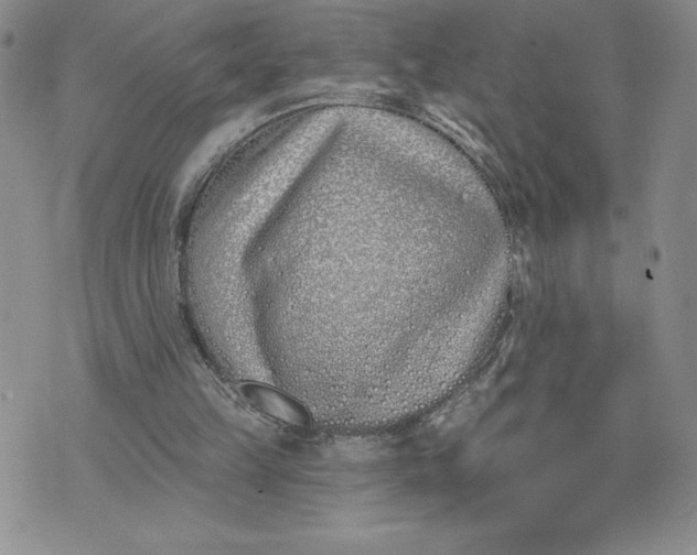 X0000074020149200609111657