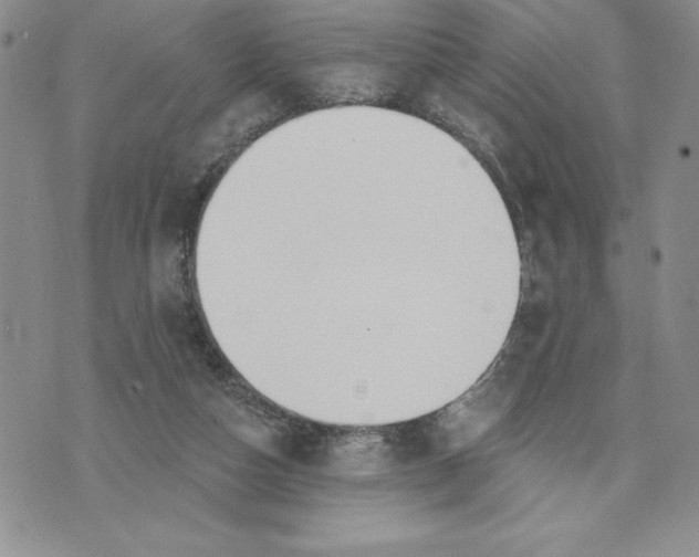 X0000074020162200609111657