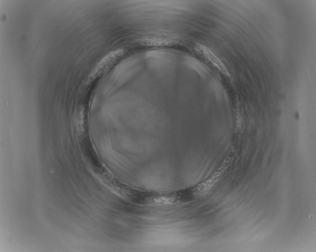 X0000074020163200609111657