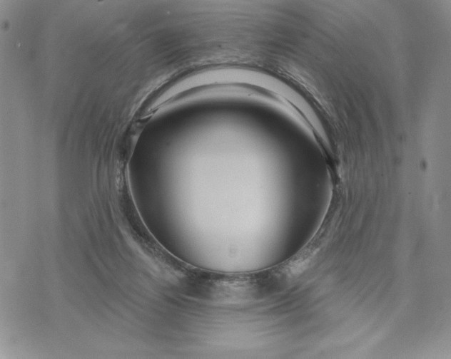 X0000074020164200609111657