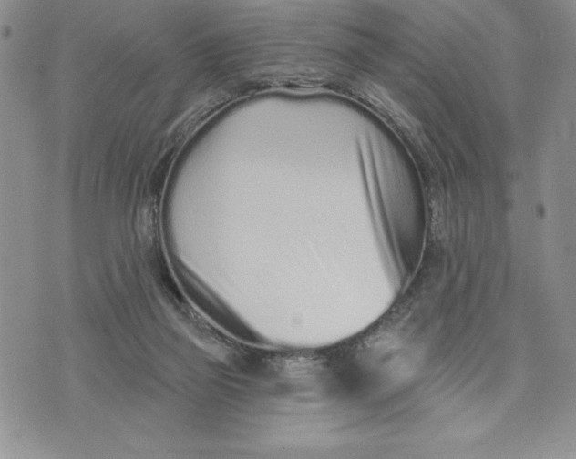X0000074020165200609111657
