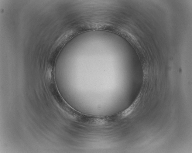 X0000074020166200609111657