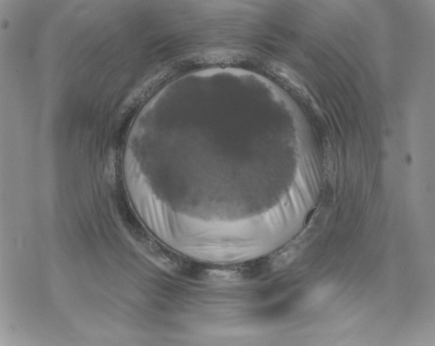 X0000074020167200609111657