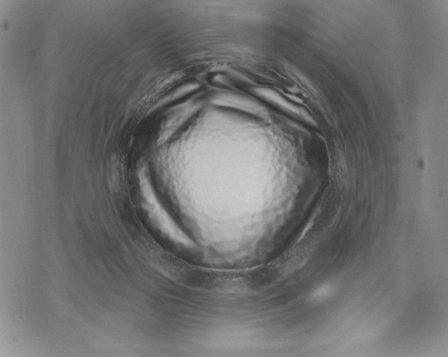 X0000074020169200609111657