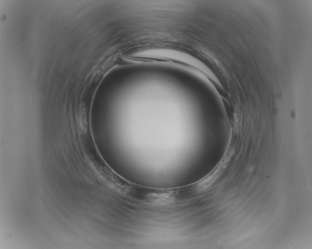 X0000074020170200609111657