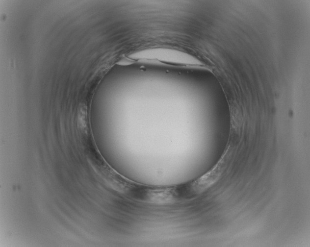 X0000074020175200609111658