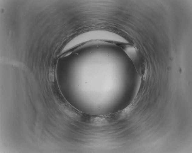 X0000074020180200609111658