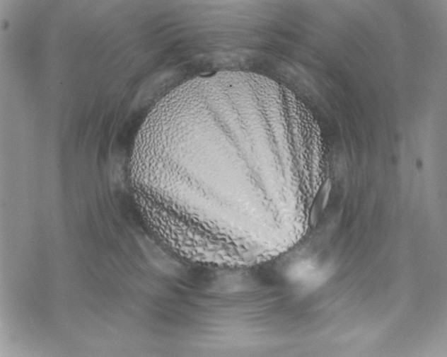 X0000074020185200609111658